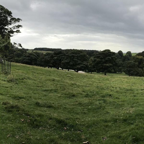 Picture of Lymm Hall and grounds where Pride and Prejudice was partly filmed.