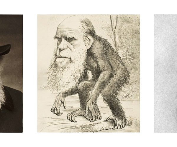 Charles Darwin, Darwin as a monkey caricature and Elizabeth Gaskell