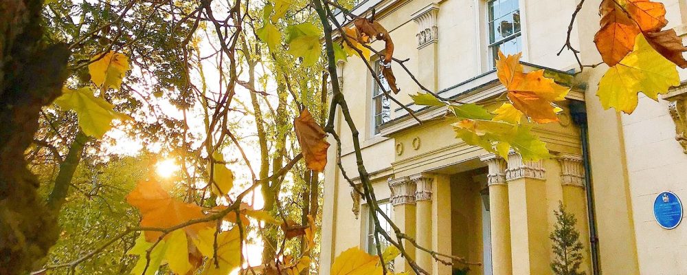 House through Autumn leaves