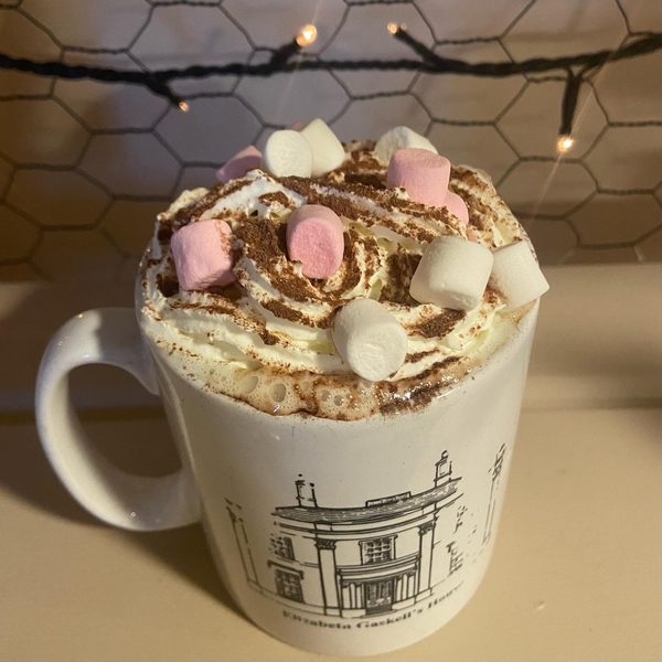 A mug of hot chocolate with whipped cream and marshmallows